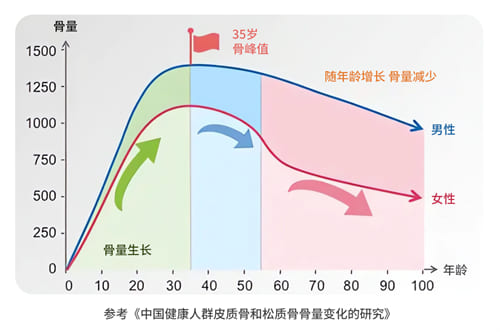 骨質(zhì)健康變化表